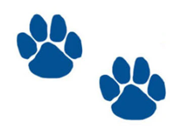 2 Blue Paws Tattoos