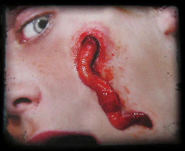 3D FX Transfers  "worms" - Image 2