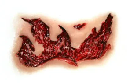 3D FX Transfers "Ripped Flesh" - Image 7