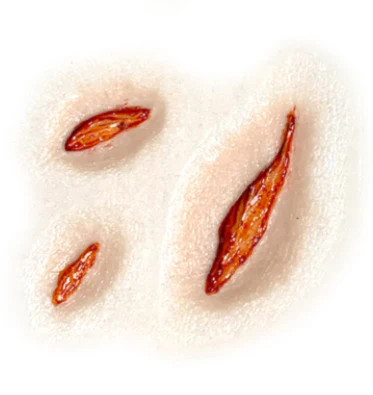 3D FX Transfers "Split Skin" - Image 4