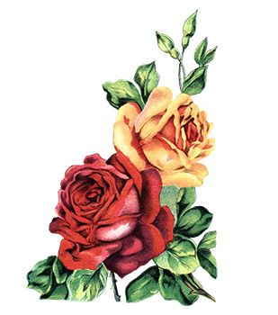 Blooming Roses Tattoo
