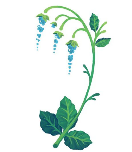 Blue Bells Floral Tattoo