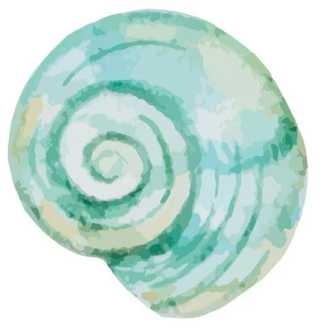 Blue Snail Shell Tattoo