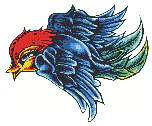 Bluebird Tattoo