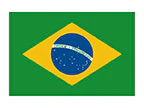 Brazil Flag Tattoo