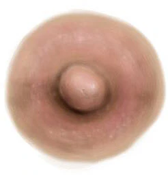 Brownish Pink Nipple Temporary Tattoo (L)