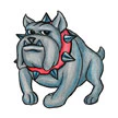 Bulldog Tattoo