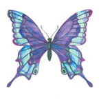Butterfly Tattoo