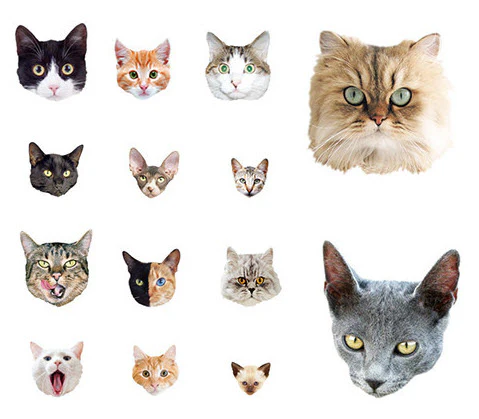Cat Parade - Tattoonie