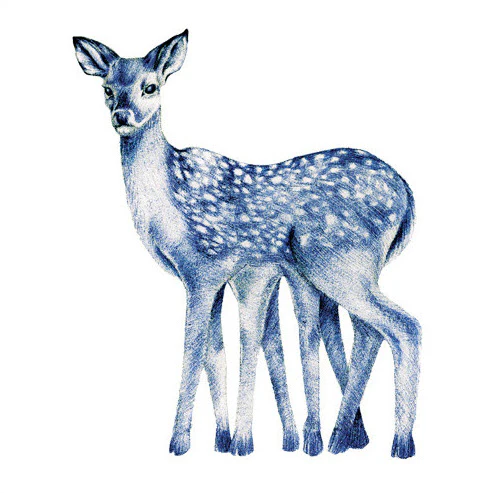 Cervatillo Veloz - Tattoonie