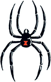 Classic Black Widow Tattoo