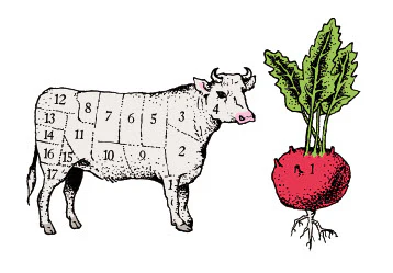 Cow vs Radish - Tattoonie
