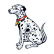Dalmation Tattoo