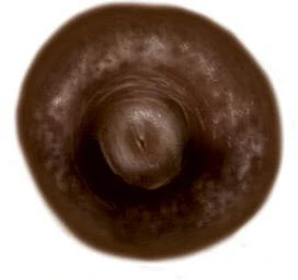 Dark Brown Nipple Temporary Tattoo (L)