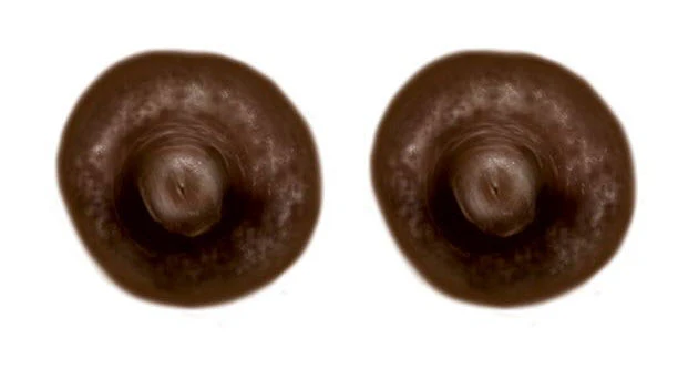 Dark Brown Nipple Temporary Tattoos (L)