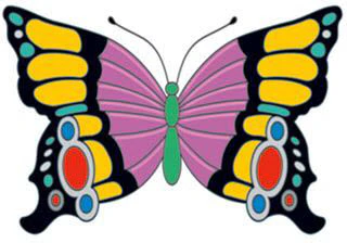 Elegant Butterfly Insect Tattoo
