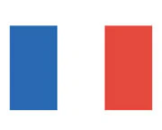 France Flag Tattoo - Image 2