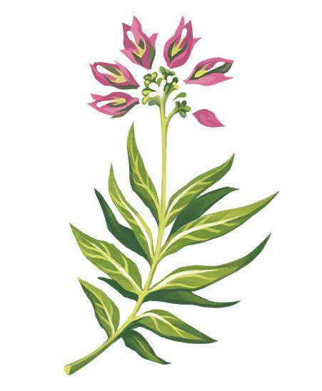 Fuschia Floral Tattoo