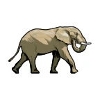 Grey Elephant Tattoo