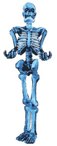 Human Skeleton Tattoo
