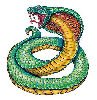 King Cobra Tattoo
