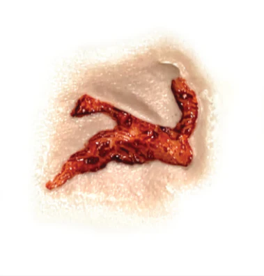 3D FX Transfers "Head Wound" - Image 3