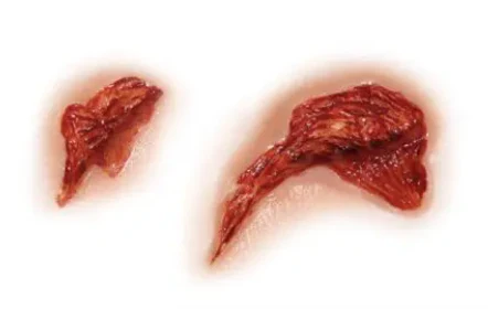 3D FX Transfers "Gouged" - Image 5