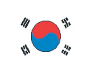 Korea Flag Tattoo
