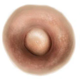 Light Brown Nipple Temporary Tattoo (L)
