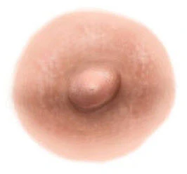 Light Tan Nipple Temporary Tattoo (M)