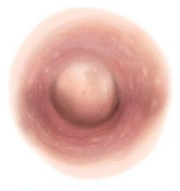 Medium Pink Nipple Temporary Tattoo (S)