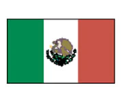 Mexico Flag Tattoo