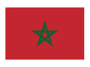 Morocco Flag Tattoo