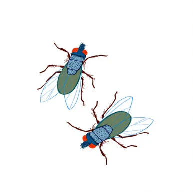 Mosca - Tattoonie (4 tattoos)