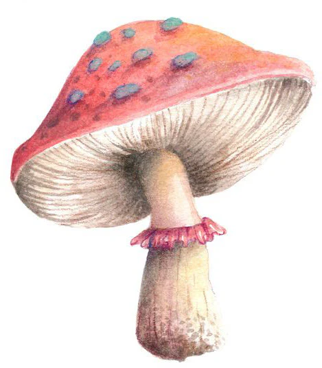 Mushroom Tattoo