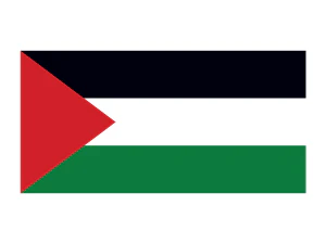 Palestine Flag Tattoo