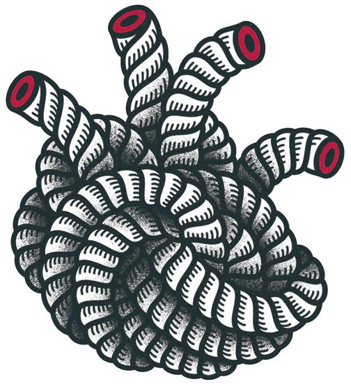 Paneque - Tattoonie