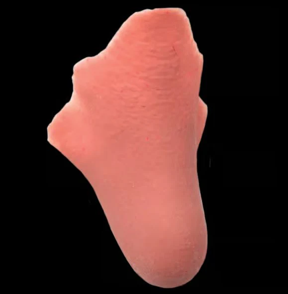 Pinocchio Latex Nose - Tinsley Transfers - Image 2
