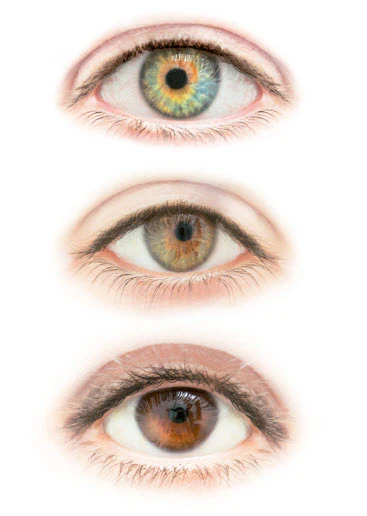 Real Eyes - Tattoonie (3 Tattoos) - Image 2