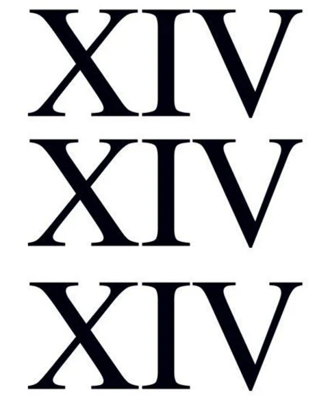 Roman Numeral 14 (Fourteen) Tattoo (3 tattoos)