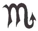 Scorpio Zodiac Tattoo
