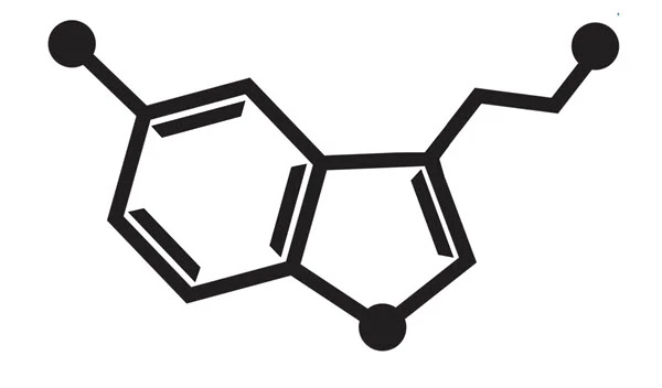 Serotonin Tattoo