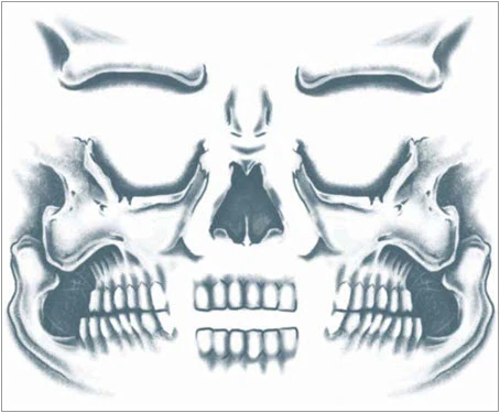 Skull Facial Tattoo Kit - Image 3