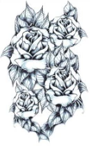 Sleeve of Black Roses