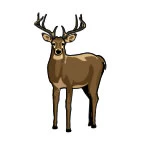 Small Deer Tattoo