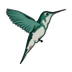 Small Hummingbird Tattoo
