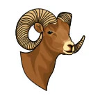 Small Ram Tattoo