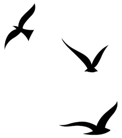 Strepik Birdz Tattoo
