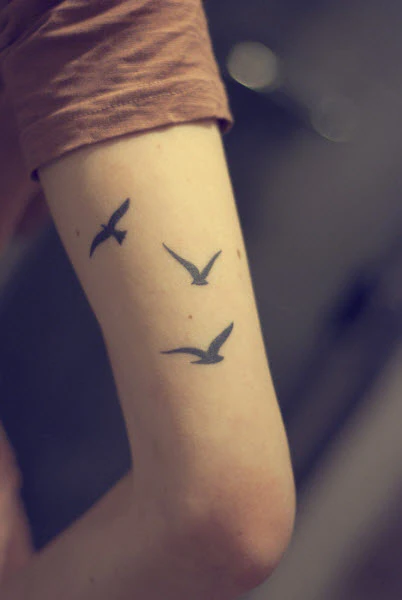 Strepik Birdz Tattoo - Image 2