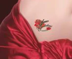 Striptease Tattoos Package (over 50 tattoos) - Image 2